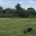 Marie Poole - @mariepoole475 - Instagram