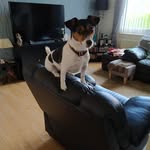 Marie Potter - @marie.potter.5076 - Instagram