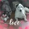 Marie Potter - @marie.potter11 - TikTok