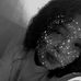 Mari Esther Gutiérrez Prescott - Facebook