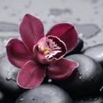 Marie Prescott Lampitt - @prescottlampitt - Instagram