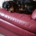 Marie Pringle - Facebook