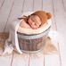 Marie Pucci Photography - Fotografía Newborn Bebés Niños y Maternidad - Facebook