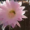 K Marie Pulliam - @k.marie.pulliam - TikTok