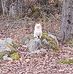 Mary Ramsdell - Facebook