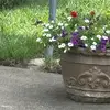 Marie StayReady - @marie.stayready - TikTok