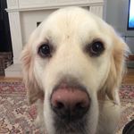 Marie Redmond - @marieredmond43 - Instagram
