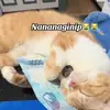Ricca Marie Soni - @ricca.marie.soni - TikTok