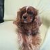 Marie Ringrose - Facebook
