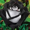 marie rod - @mariejam2020 - TikTok