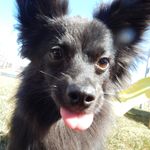 DakotaMarieSunshine - @dakota_marie_roff - Instagram