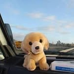 Marie Rolfe Perry - @rolfeperry - Instagram