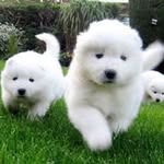 Marie Rooney - @marie.rooney.79 - Instagram