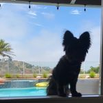 marie - @marieroot_ - Instagram