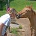 Marie Root - Facebook