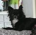 Marie Rouillard - Facebook