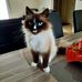 Marie Rouillard - Facebook