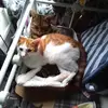 Marie Routh845 - @marierouth1212 - TikTok