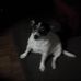 Marie Routh - Facebook
