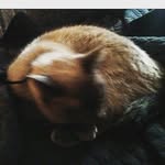 Marie ruby deboard - @marierubydeboard - Instagram