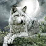 Lea Marie Rücker - @polarwolf25 - Instagram