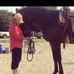 Marie Rushing - @horse.gal.concepts - Instagram