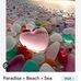Marie Ryer - Facebook