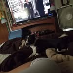 Patches Marie Samples - @patchesmariesamples - Instagram