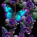 Marie Sands - Facebook
