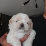 Marie Sands - @mariesands635 - Instagram