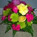Marie Santangelo Haynes - Facebook