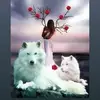 Anne-marie Schaeffer - @annemarie.schaeff - TikTok