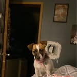 Jennie Marie Schaeffer - @blackandwhitebettyboop - Instagram