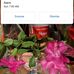 Marie Schaeffer - Facebook