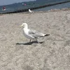 Marie Schäfer - @musterman04 - TikTok
