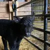 marieschafer - @mariedschafer - TikTok