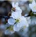 Marie Schaffer - Facebook