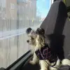 Marie Schaffer - @schaffer1012 - TikTok
