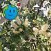 Marieluise Scheel - Facebook