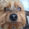 Marie Scheid - @marie.scheid4 - TikTok