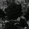 marieschell219 - @marieschell219 - TikTok
