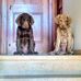 Marie Schofield - Facebook
