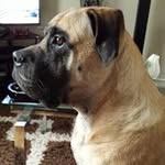 marie schofield - @marieschofield - Instagram