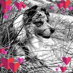 Marie-France Schroeder - @schroedermariefrance - Instagram