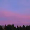 ✨️🦋Marie🦋✨️ - @marieschroeder27 - TikTok