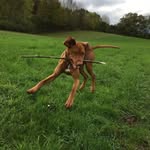 Jean-Marie Schuler - @schulerjum - Instagram