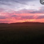 Marie - @marie_schuler1 - Instagram