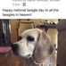 Marie Schuler - Facebook
