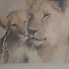 Marie Schuler - @marie.schuler8 - TikTok