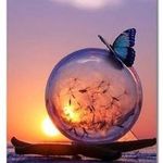Marie Schütte - @schutte3821 - Instagram